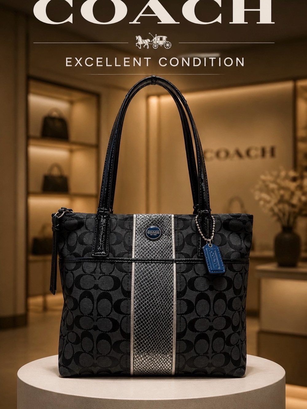 Coach Black Signature Logo Tote with Center Stripe